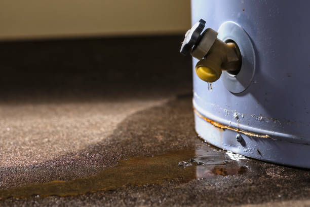 Best 24/7 water damage repair  in Bessemer City, NC