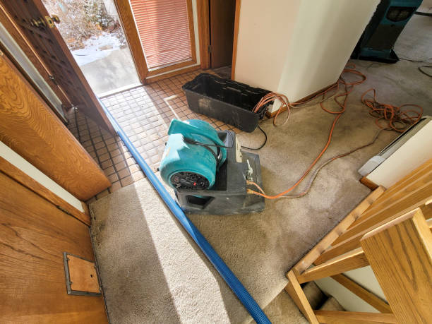 Best Carpet water damage restoration  in Bessemer City, NC