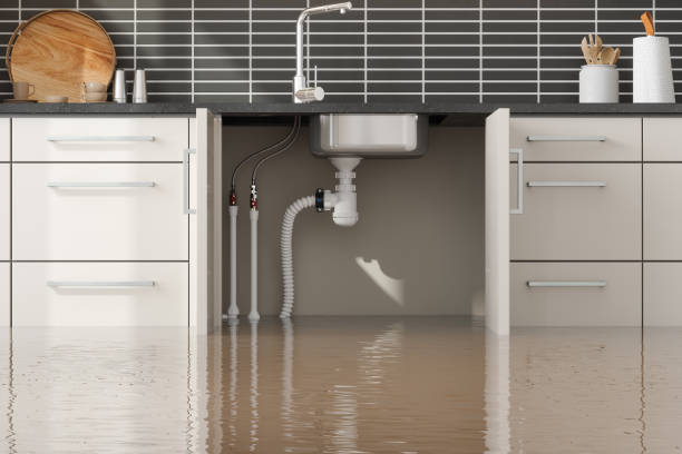 Best Water damage repair service  in Bessemer City, NC